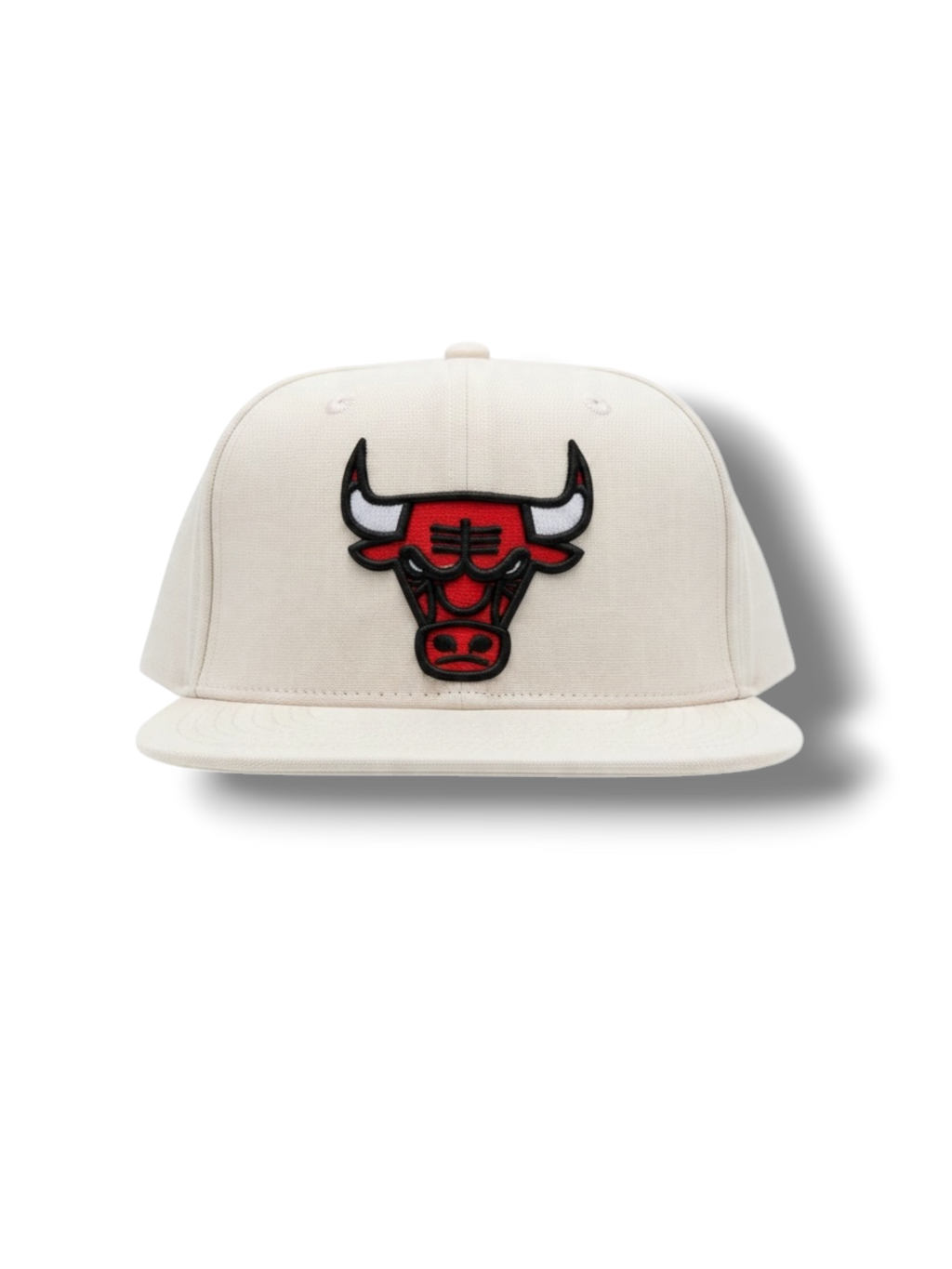 RASGADA CHICAGO BULLS