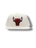RASGADA CHICAGO BULLS