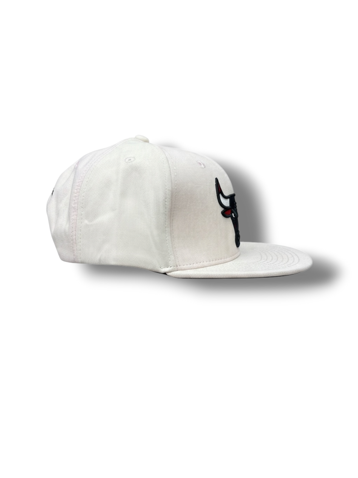 RASGADA CHICAGO BULLS